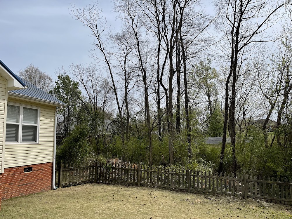 PETEN TREE SERVICE & LANDSCAPING LLC
